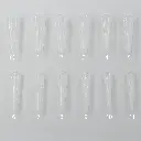 F1 Almond Russian New Style Medium Size 1.webp